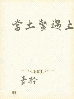 当土鳖遇上海龟