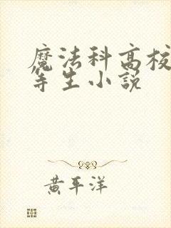 魔法科高校的劣等生小说