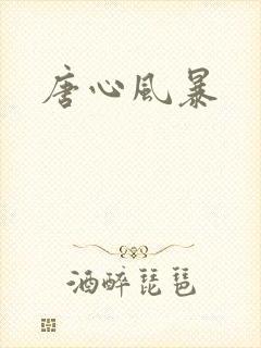 唐心风暴