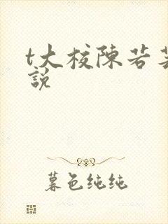 t大校陈若芸小说