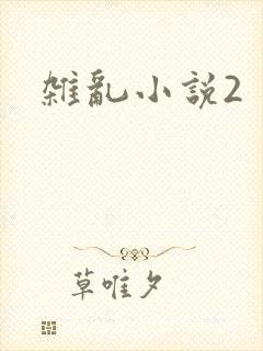 杂乱小说2