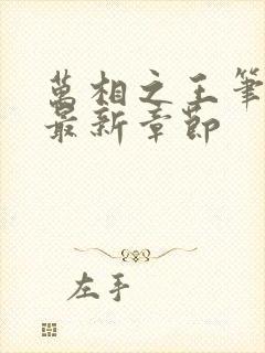 万相之王笔趣阁最新章节