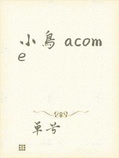 小鸟 acome