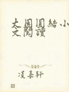 大团圆结小茹全文阅读
