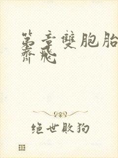 第章双胞胎姐妹齐飞