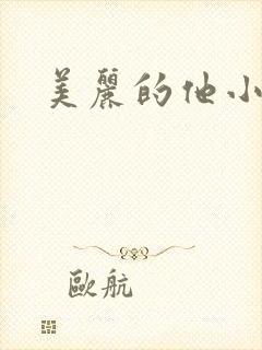 美丽的他小说