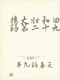 杨大壮和田桂花的第二十九