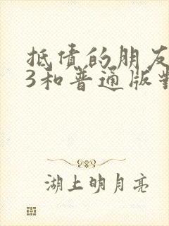 抵债的朋友麦子3和普通版对比