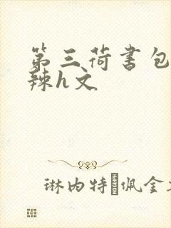 第三荷书包网高辣h文