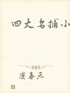 四大名捕小说