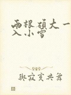 两根硕大一起挤入小雪