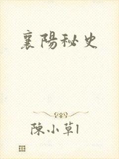 襄阳秘史