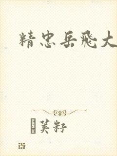 精忠岳飞大结局