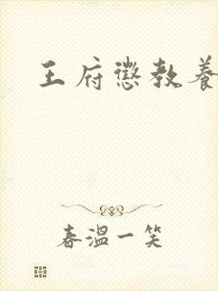 王府惩教养日常