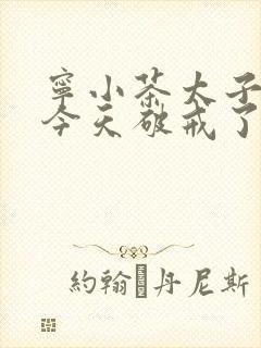 宁小茶太子殿下今天破戒了吗免费阅读