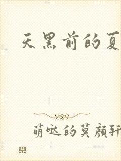 天黑前的夏天
