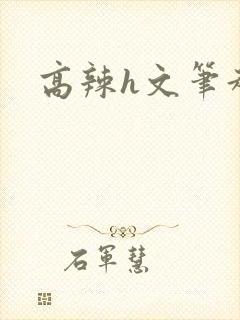 高辣h文笔趣阁