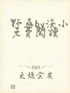 野桑by浅小说免费阅读