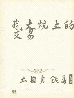 我大炕上的肉体交易