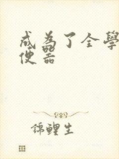 成为了全学校坐便器