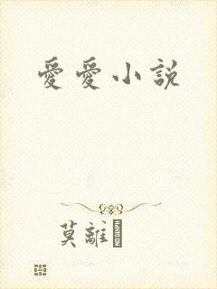 爱爱小说