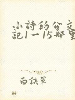 小诗的公交车日记1一15哪里能看