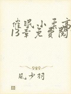 催眠小柔高达第13章免费阅读