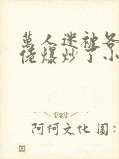 万人迷被各路大佬爆炒了小说