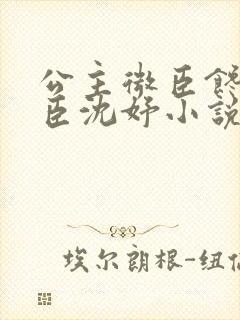 公主微臣馋了微臣沈妤小说