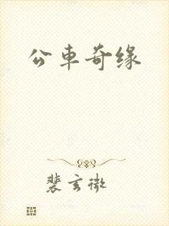 公车奇缘