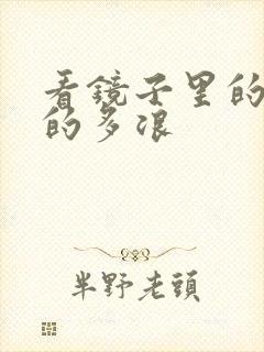 看镜子里的你叫的多浪