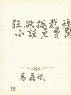 狂欲总裁穆非雪 小说免费阅读