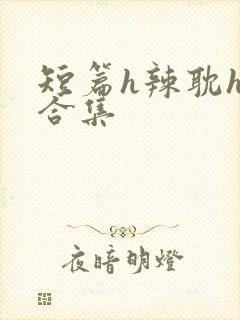 短篇h辣耽h文合集