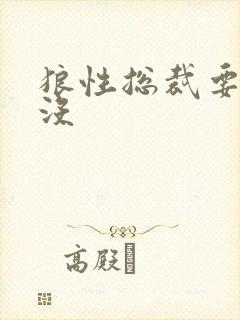 狼性总裁要够了没