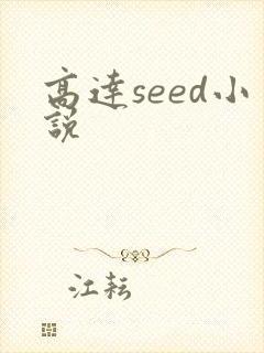 高达seed小说