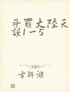 斗罗大陆天狂传说1一5