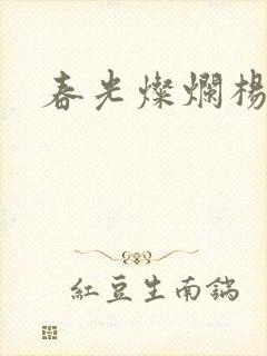 春光灿烂杨家将