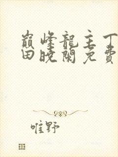 巅峰龙主丁长顺田晓兰免费阅读