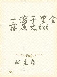 一泻千里金银花露原文txt