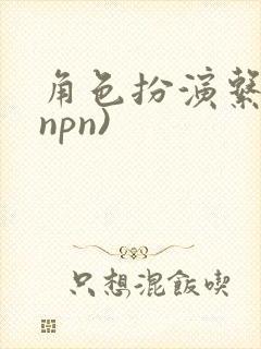 角色扮演系统(npn)