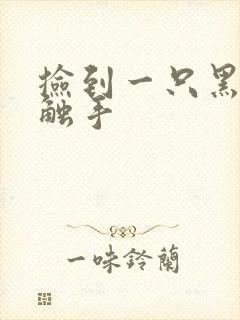 捡到一只黑心小触手