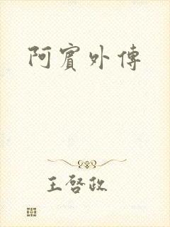 阿宾外传