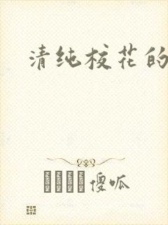 清纯校花的被