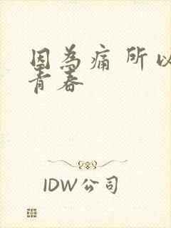 因为痛 所以叫青春