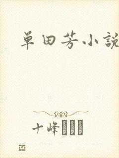 单田芳小说