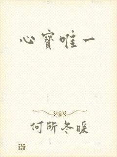 心宝唯一
