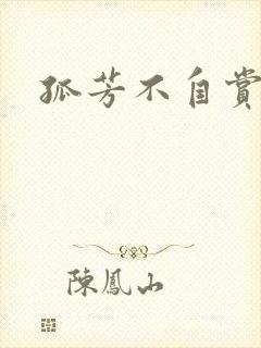 孤芳不自赏小说