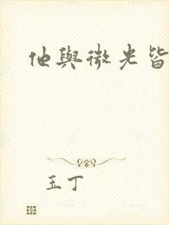 他与微光皆倾城