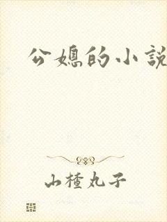 公媳的小说