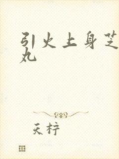 引火上身芝麻糖丸